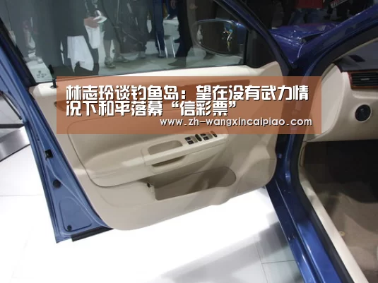 林志玲谈钓鱼岛:望在没有武力情况下和平落幕“信彩票”(图3) 信彩票